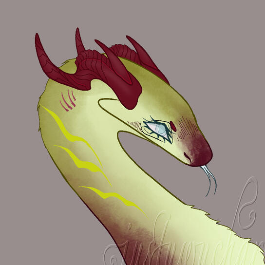 Jerico Bust